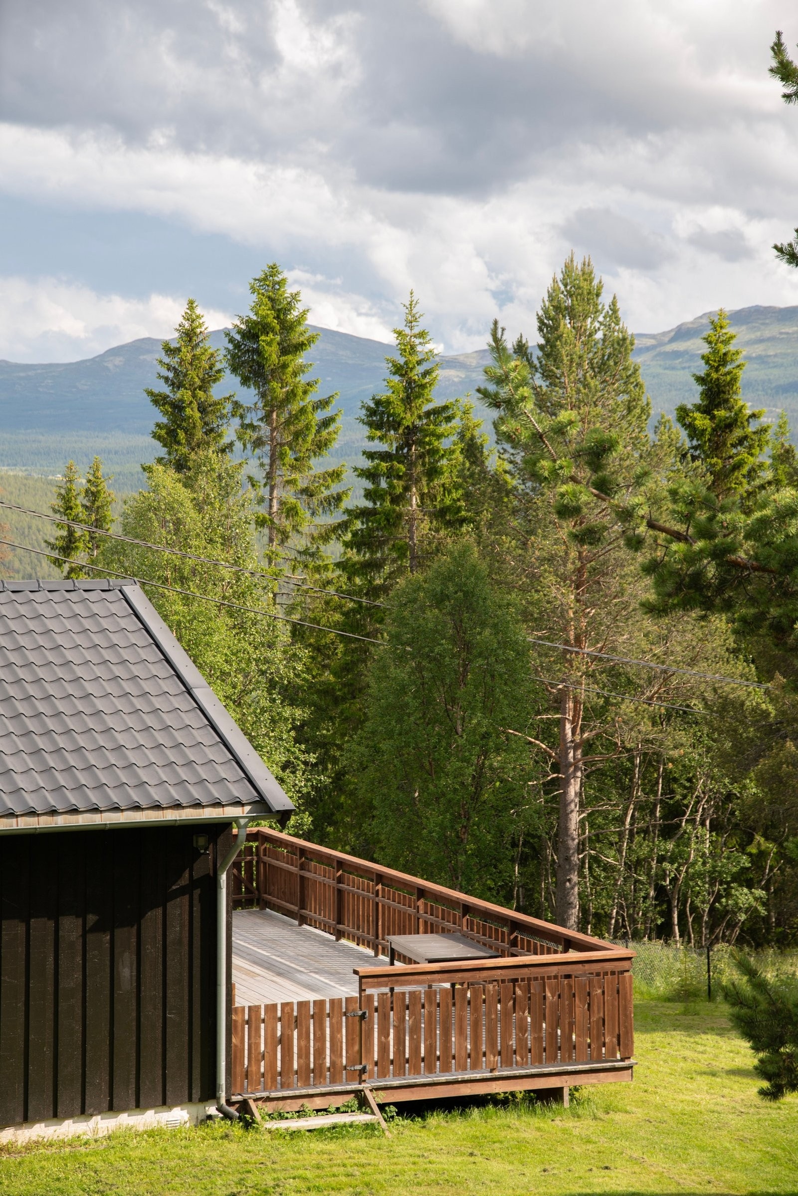 Utsikt mot sør. Galleribilde