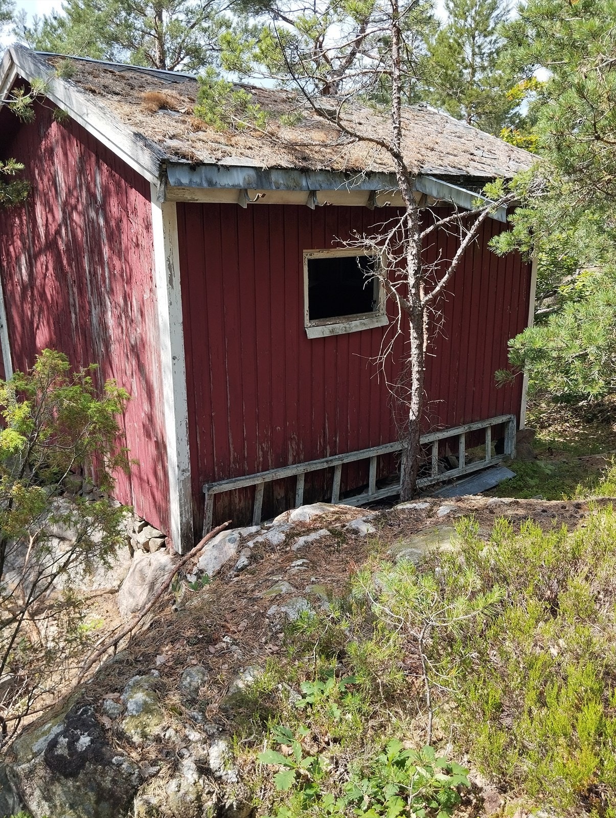 Risøya 8 Galleribilde