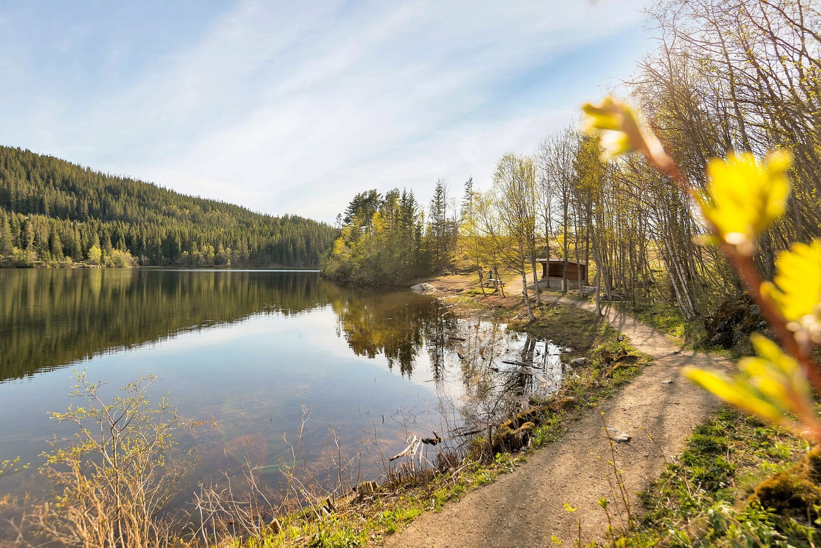Estenstadmarka har et nydelig turterreng sommer som vinter. På vinterstid kjøres det opp flotte skiløyper. Galleribilde