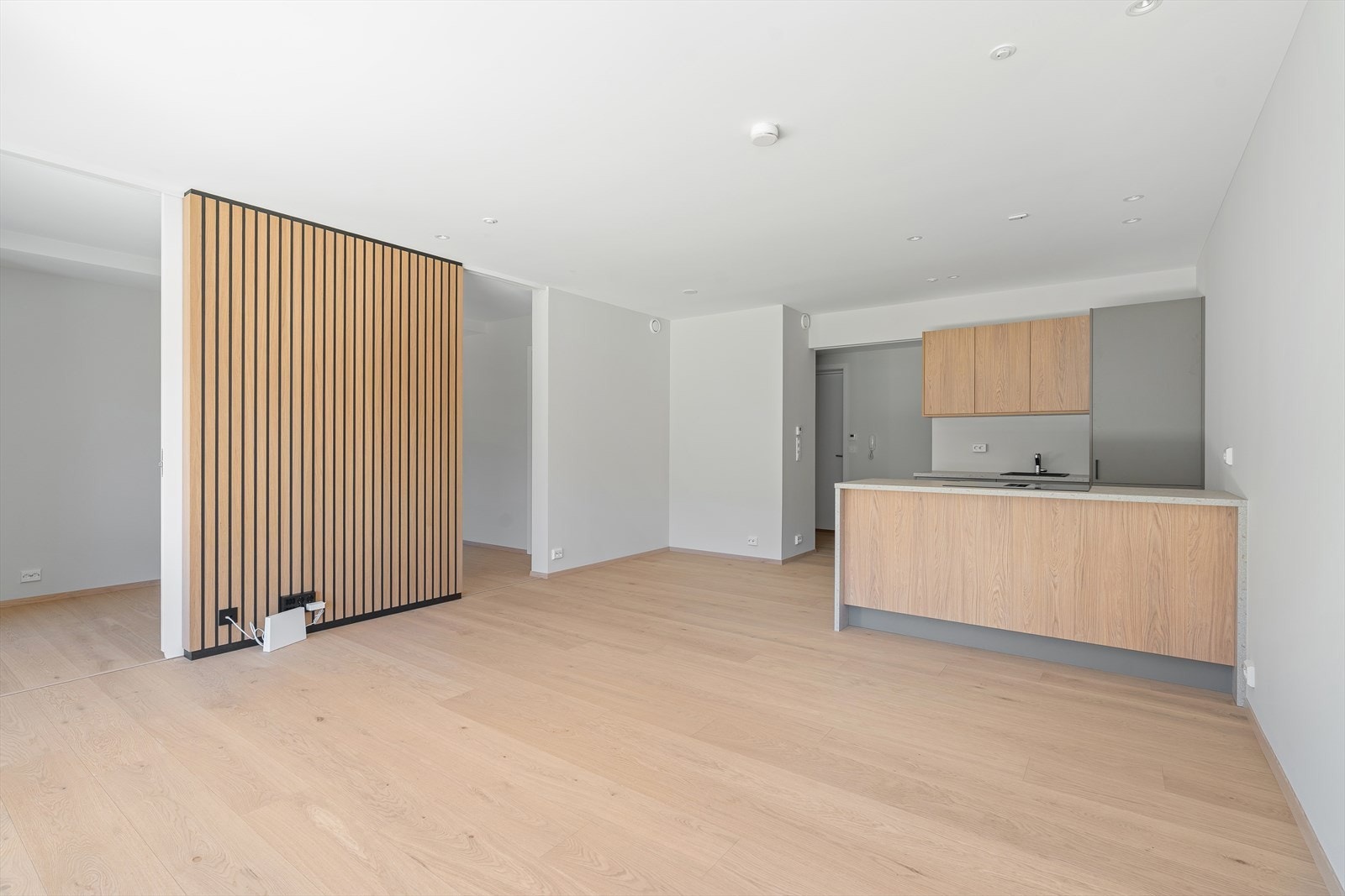 Stue/kjøkken/soverom Galleribilde