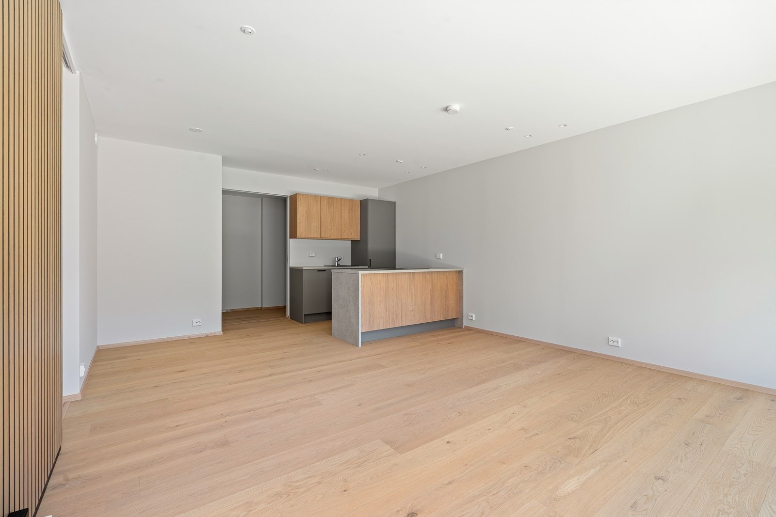 Stue/kjøkken Galleribilde