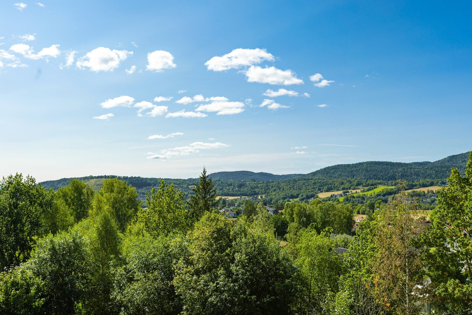Fra Bjørnebærstien har du kort vei til flotte turområder som Eineåsen og Bergersletta Park, perfekt for rekreasjon. Galleribilde