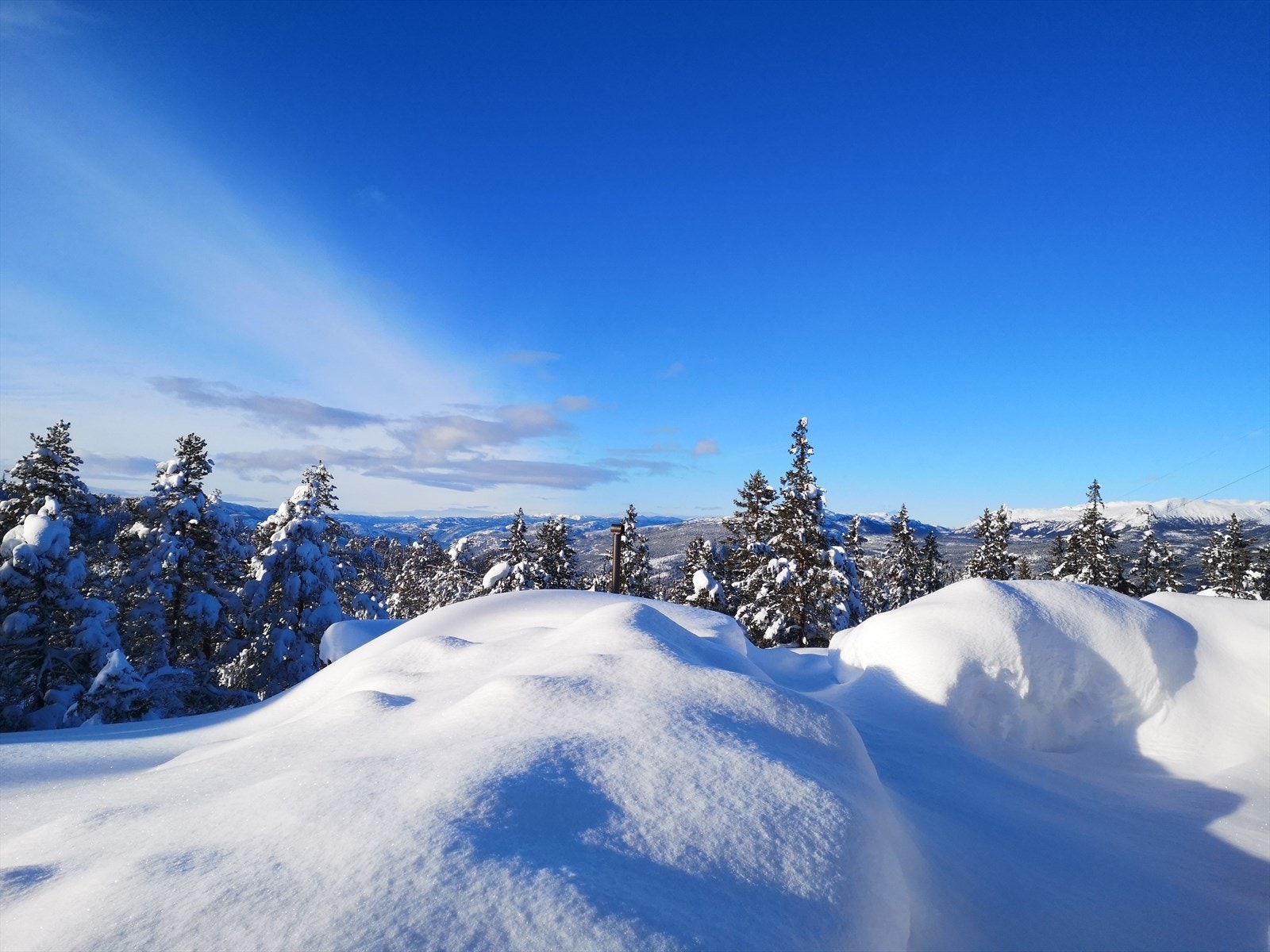 Stemningsbilde (selgers eget bilde). Galleribilde