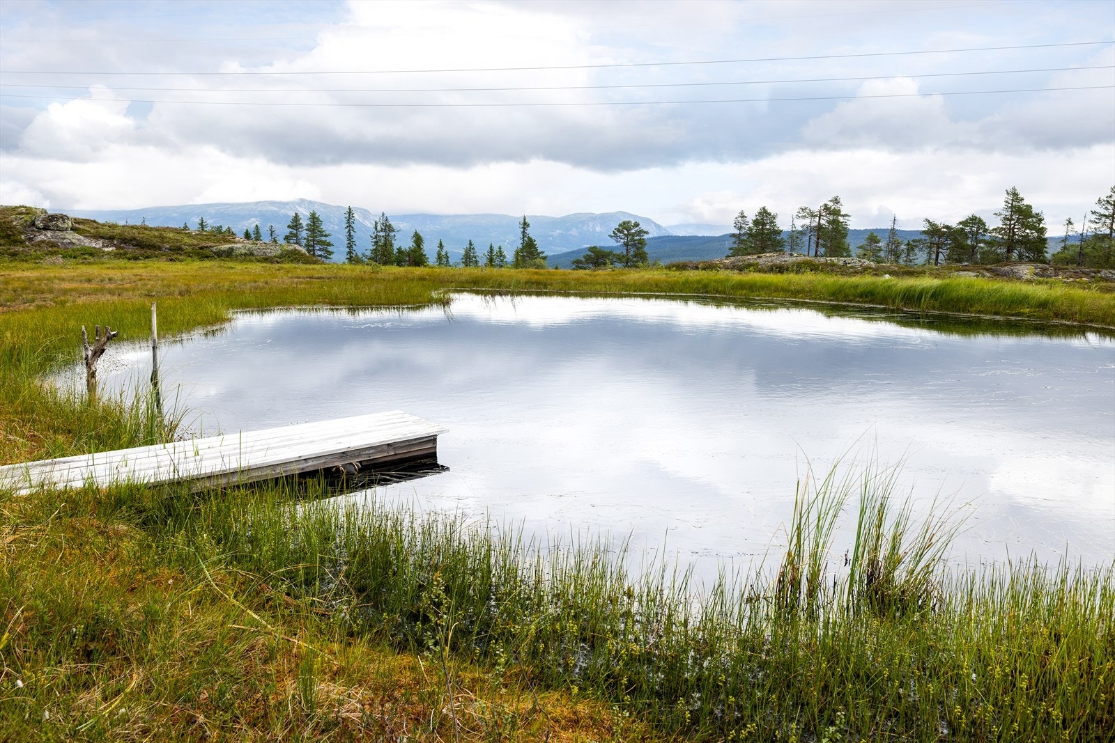 Eiendommen ligger idyllisk til på en flott naturtomt på Leknesfjellet, mellom Gulsvik og Sokna. Galleribilde
