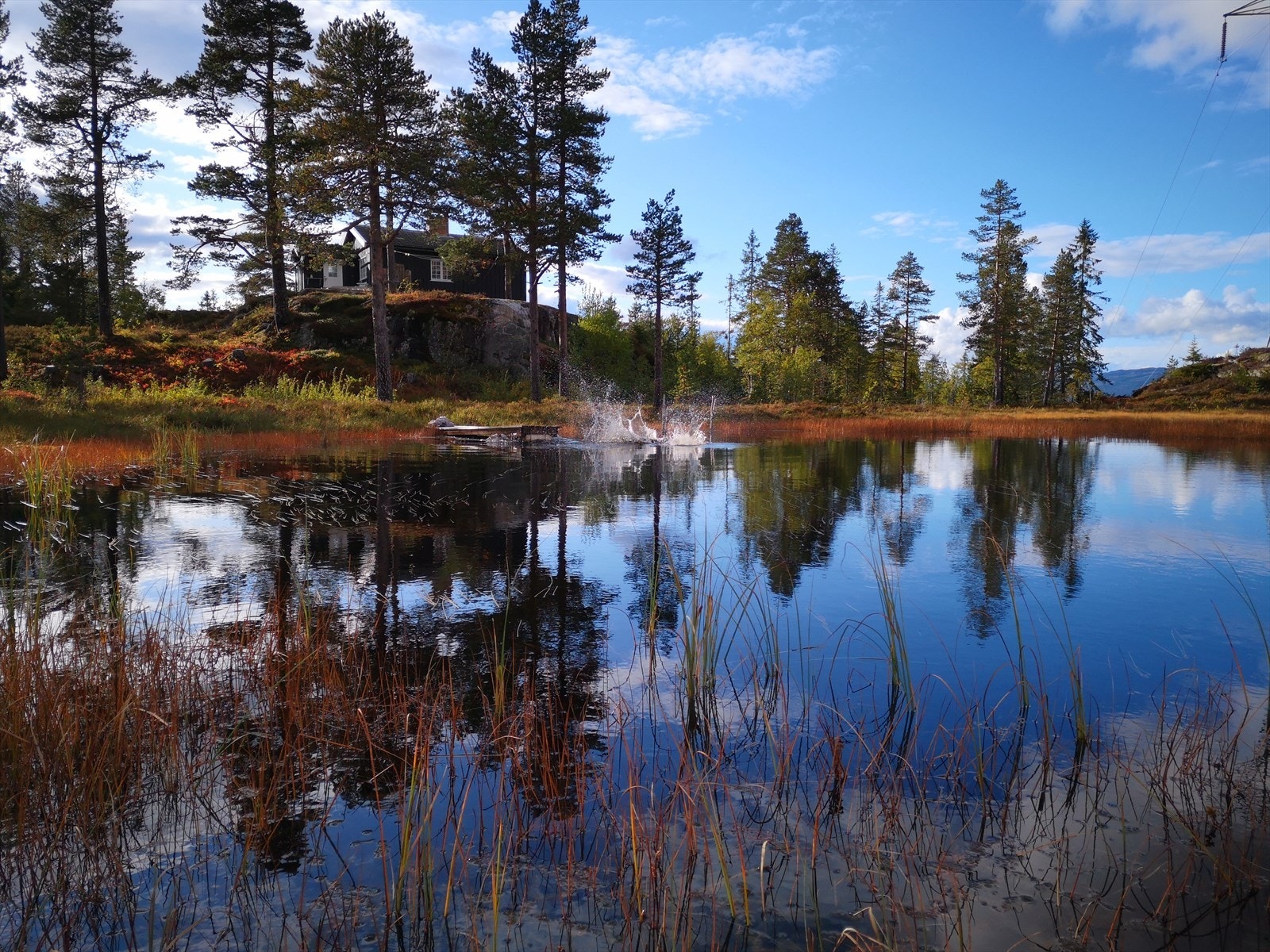 Stemningsbilde (selgers eget bilde). Galleribilde