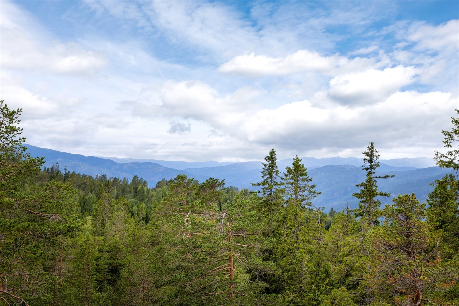 Utsikt! Galleribilde