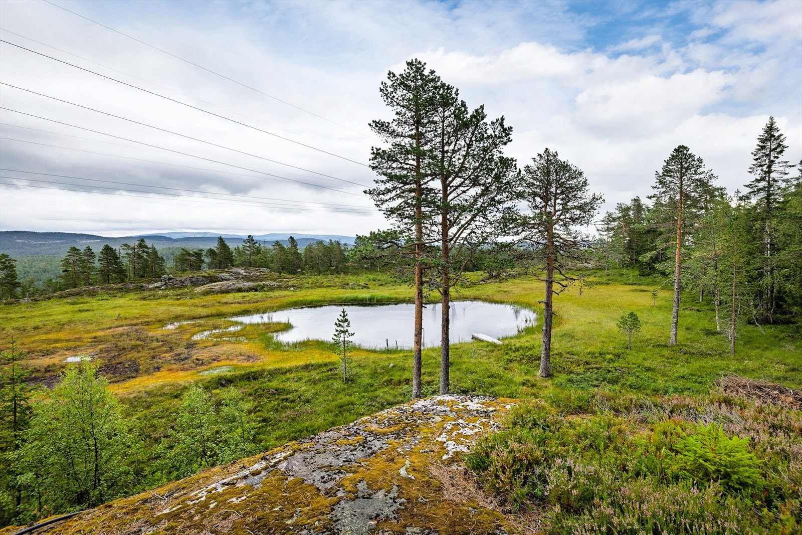 Lite vann ved hytta ligger ikke på denne eiendommen. "Brygga" er det ikke søkt grunneier om. Galleribilde