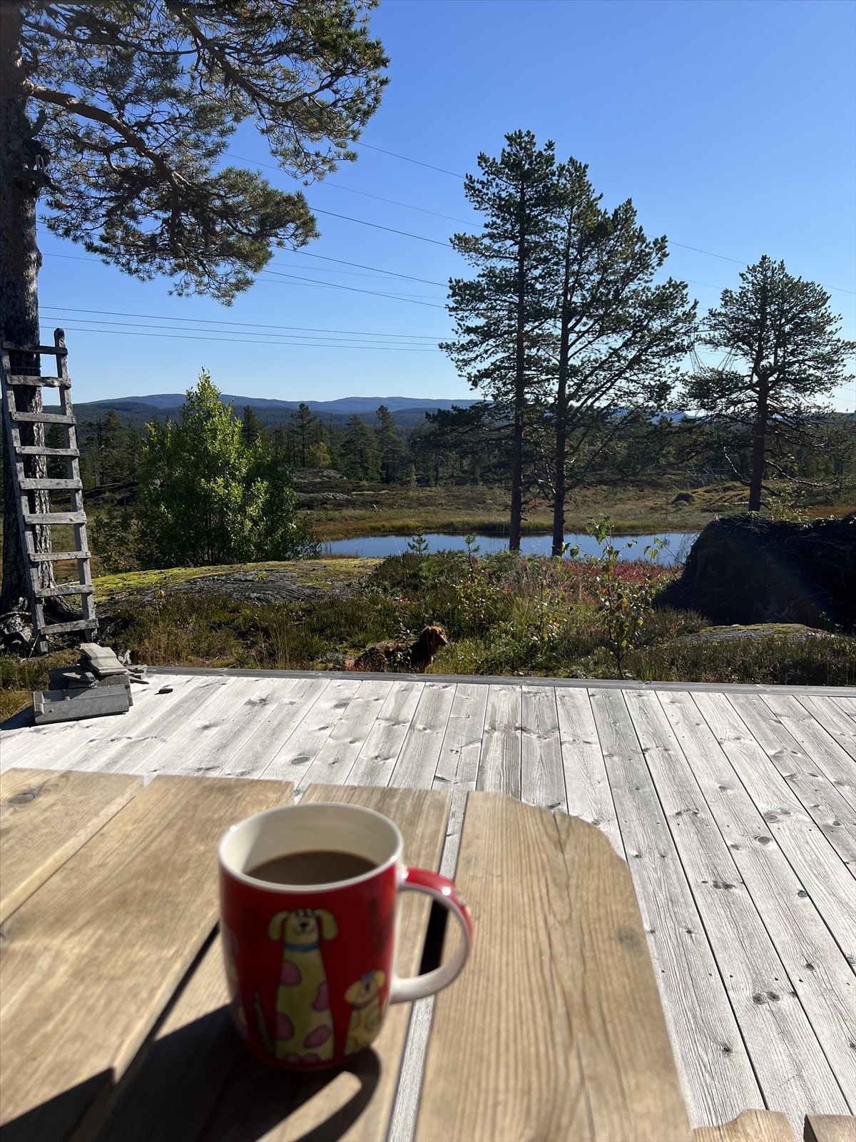 Stemningsbilde (selgers eget bilde). Galleribilde