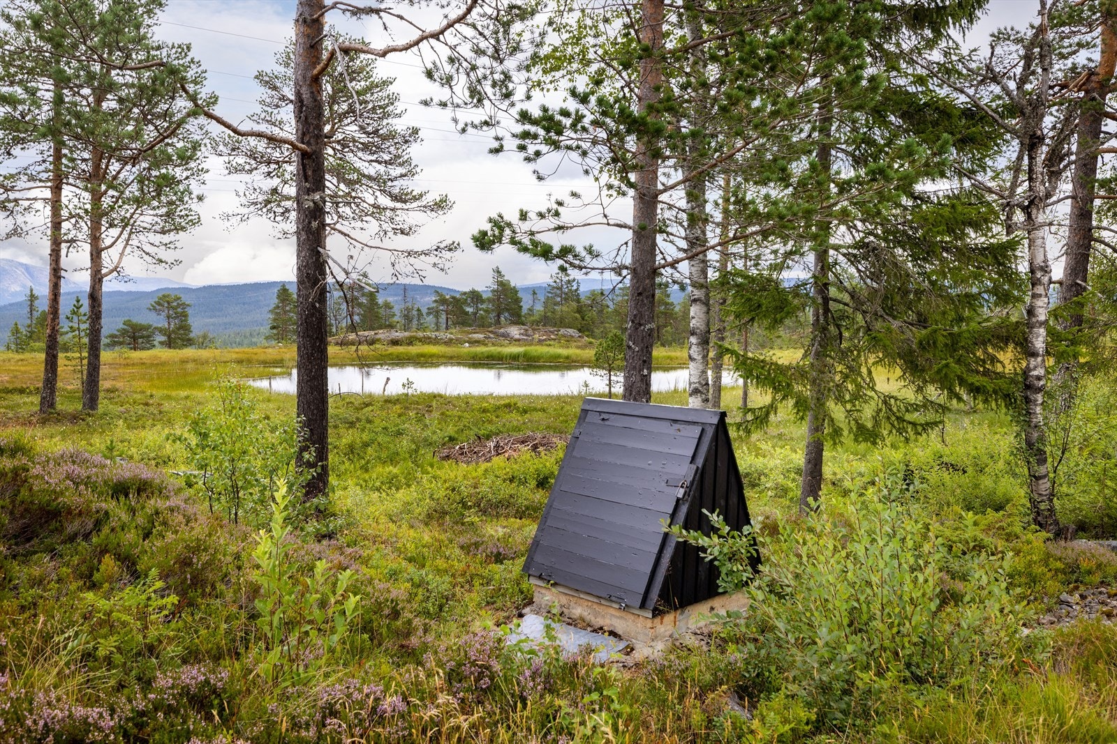 Umiddelbar nærhet til et lite vann. Galleribilde