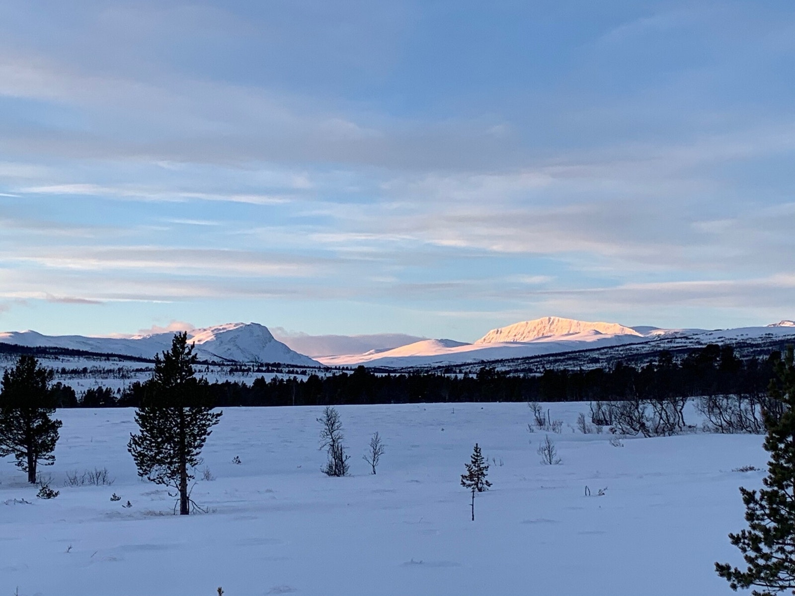 På Nerskogen har man en meget flott natur, her er Høghøa og Blåhøa avbildet. Galleribilde