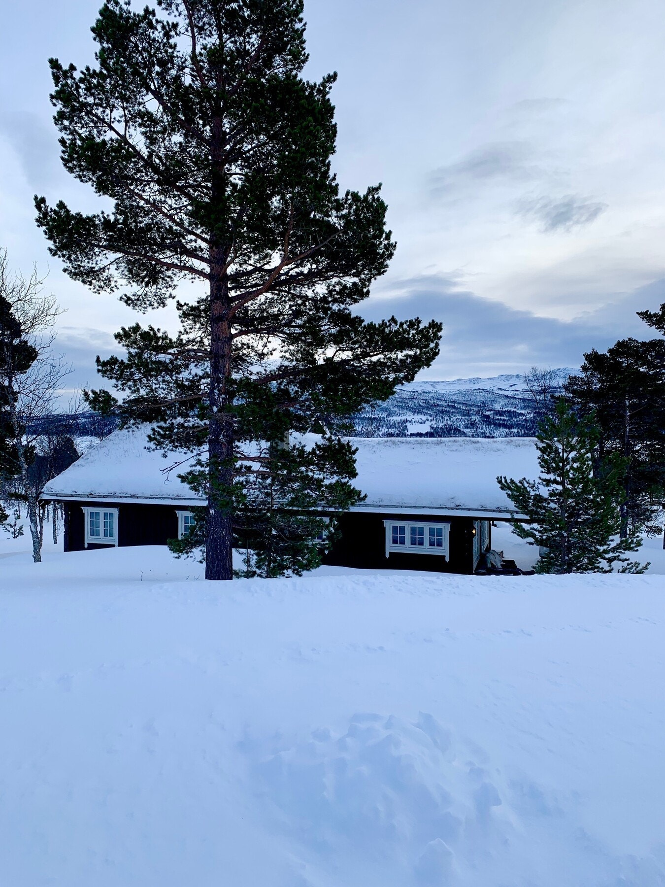 Stemningsbilde fra vinteren. Galleribilde