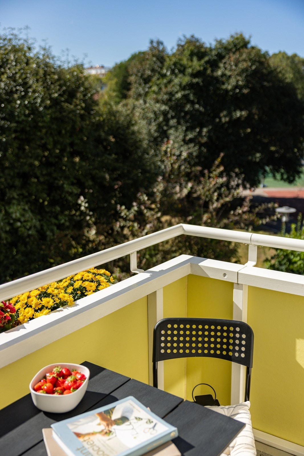 Her kan du virkelig nyte de late sommerdagene! Galleribilde