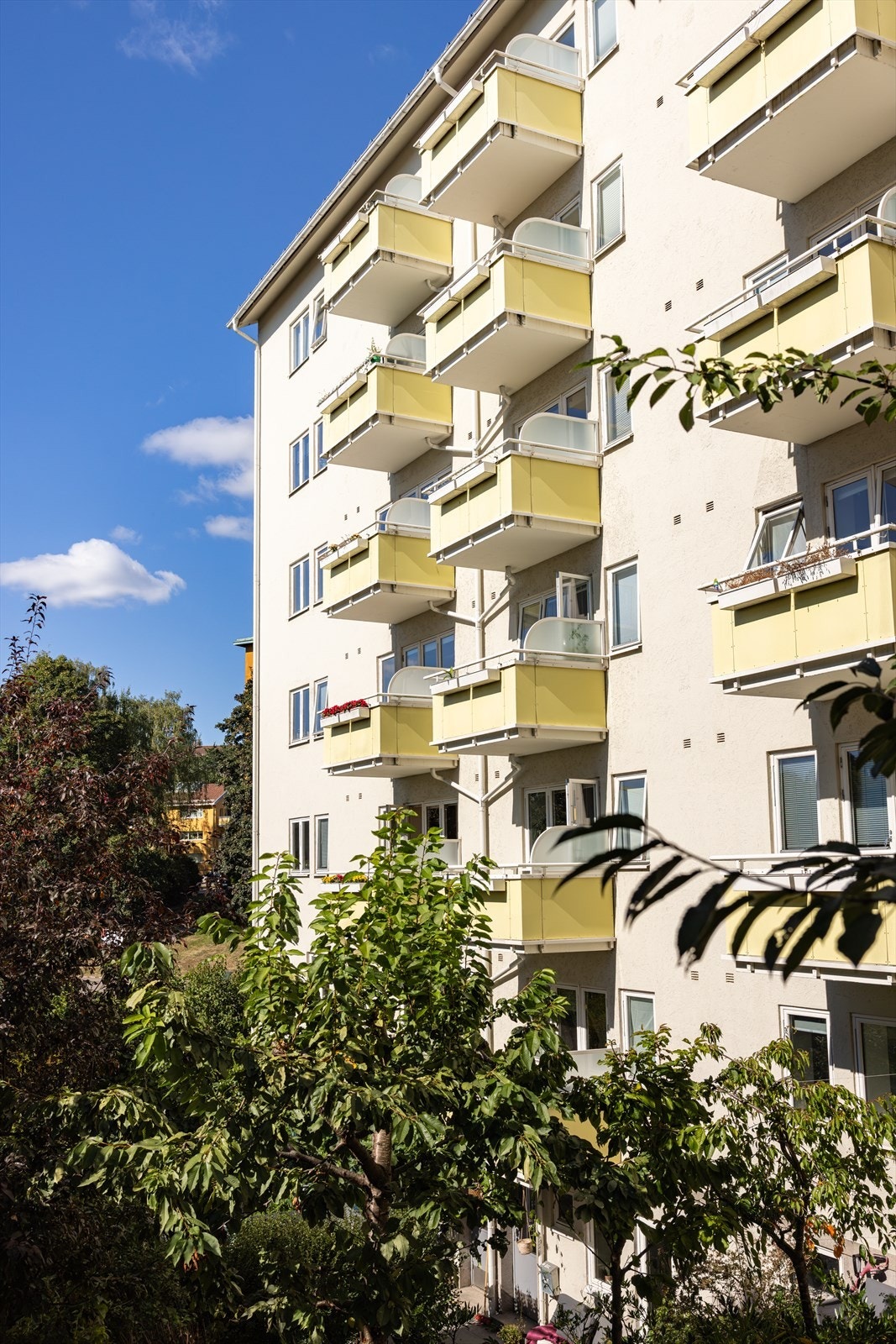 Her bor du høyt og fritt - helt usjenert. Galleribilde