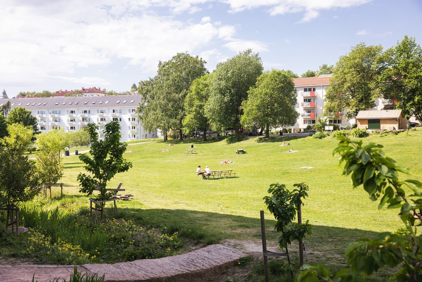 Iladalen byr herlige grøntområder som passer perfekt til både soling og piknik på late sommerdager Galleribilde