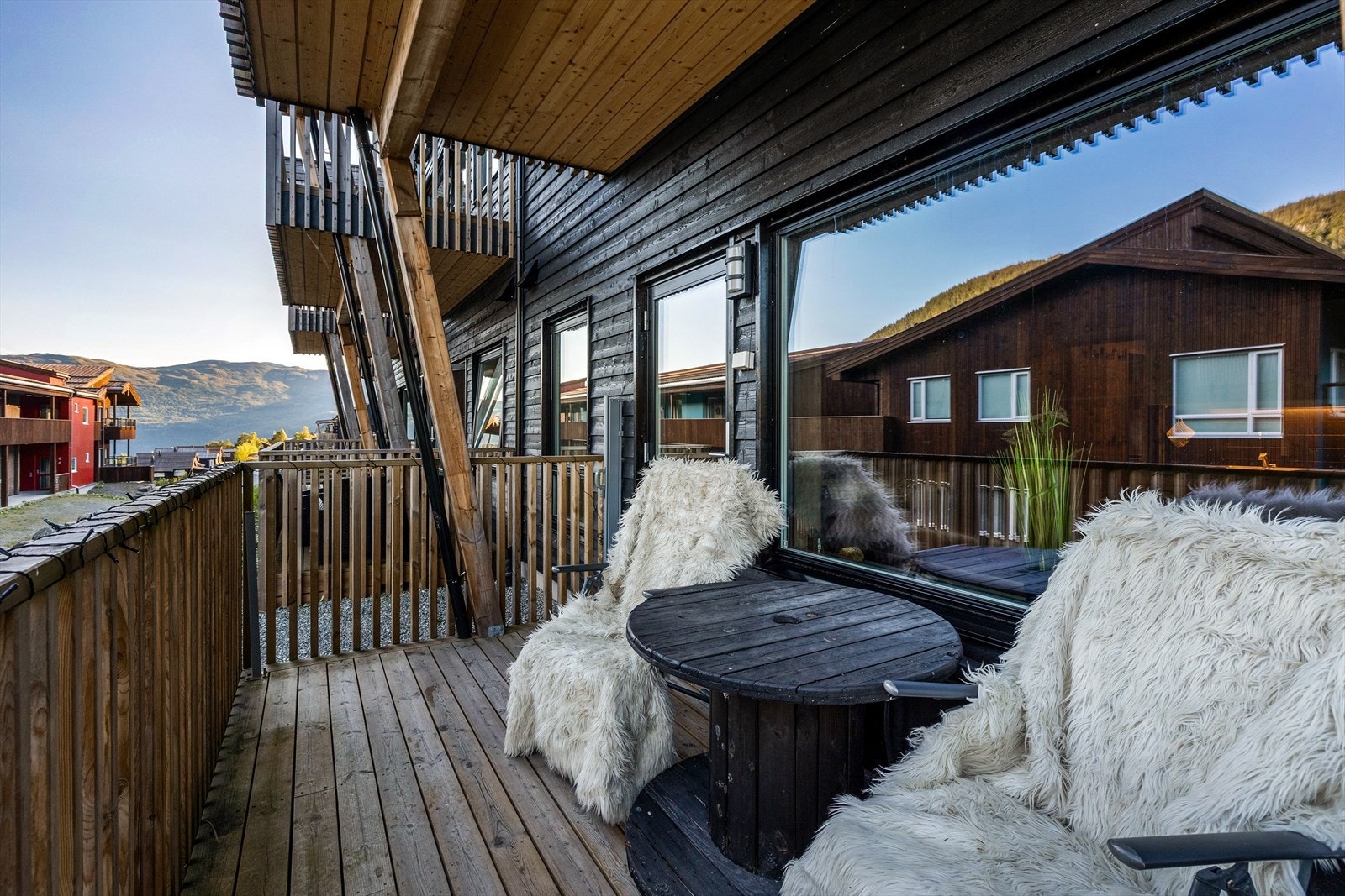 Finn roen på fjellet! Galleribilde