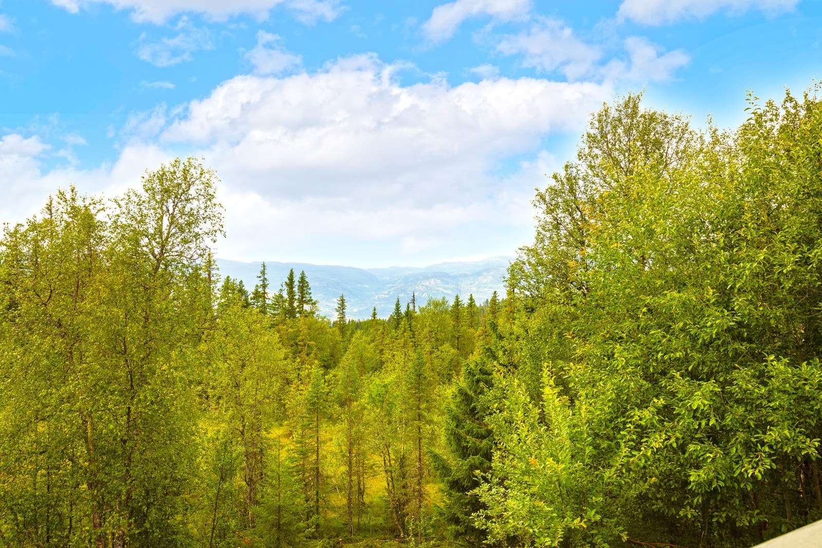 Flott utsikt fra terrassen. Galleribilde