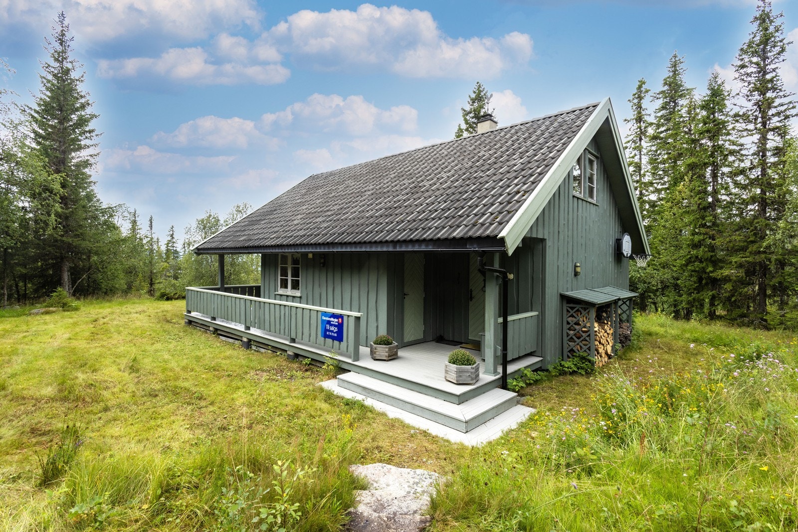 Praktisk familiehytte med alle fasiliteter og bilvei helt frem. Velkommen på visning! Galleribilde