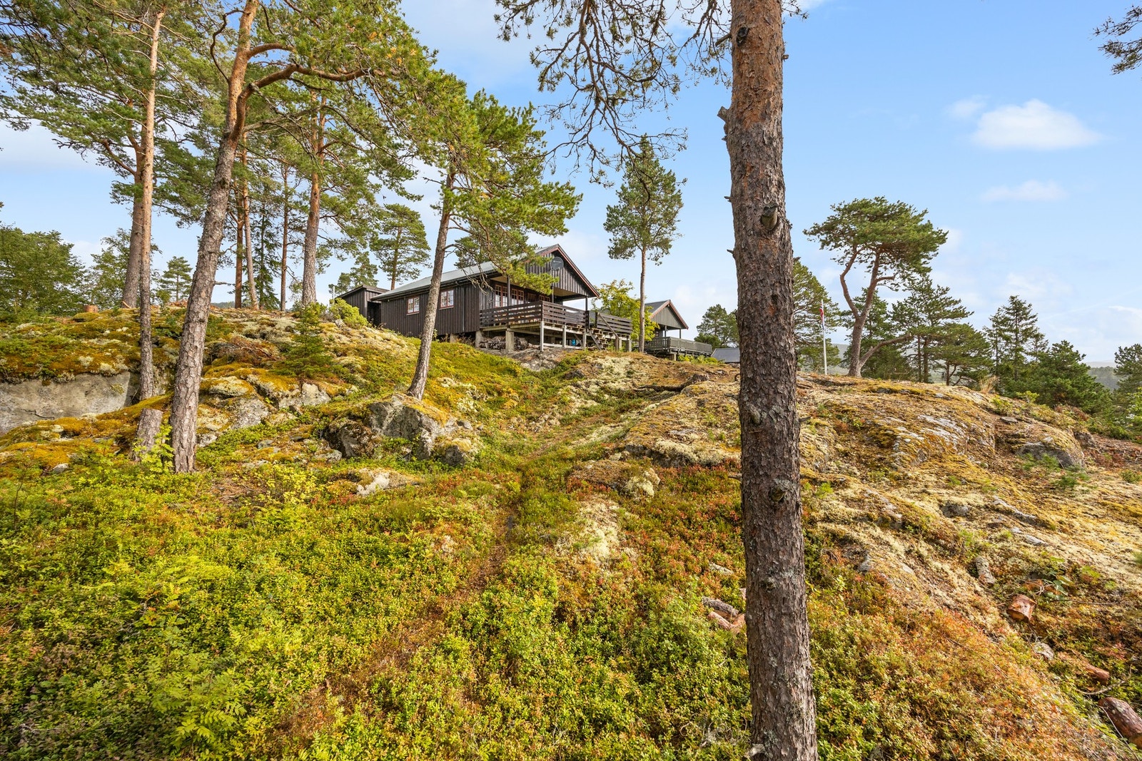 Naturtomt rundt hytta Galleribilde