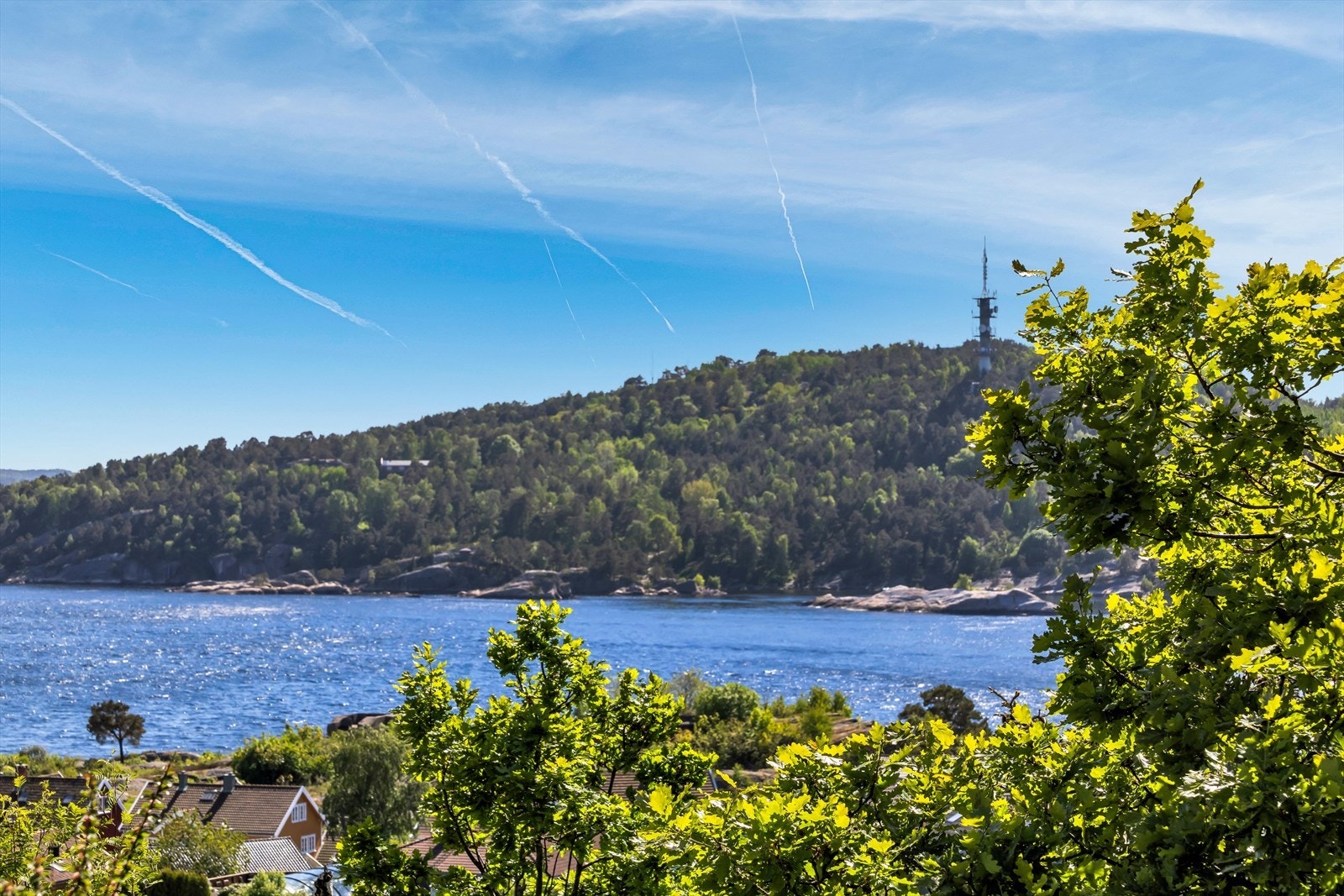 Utsikt mot Odderøya Galleribilde