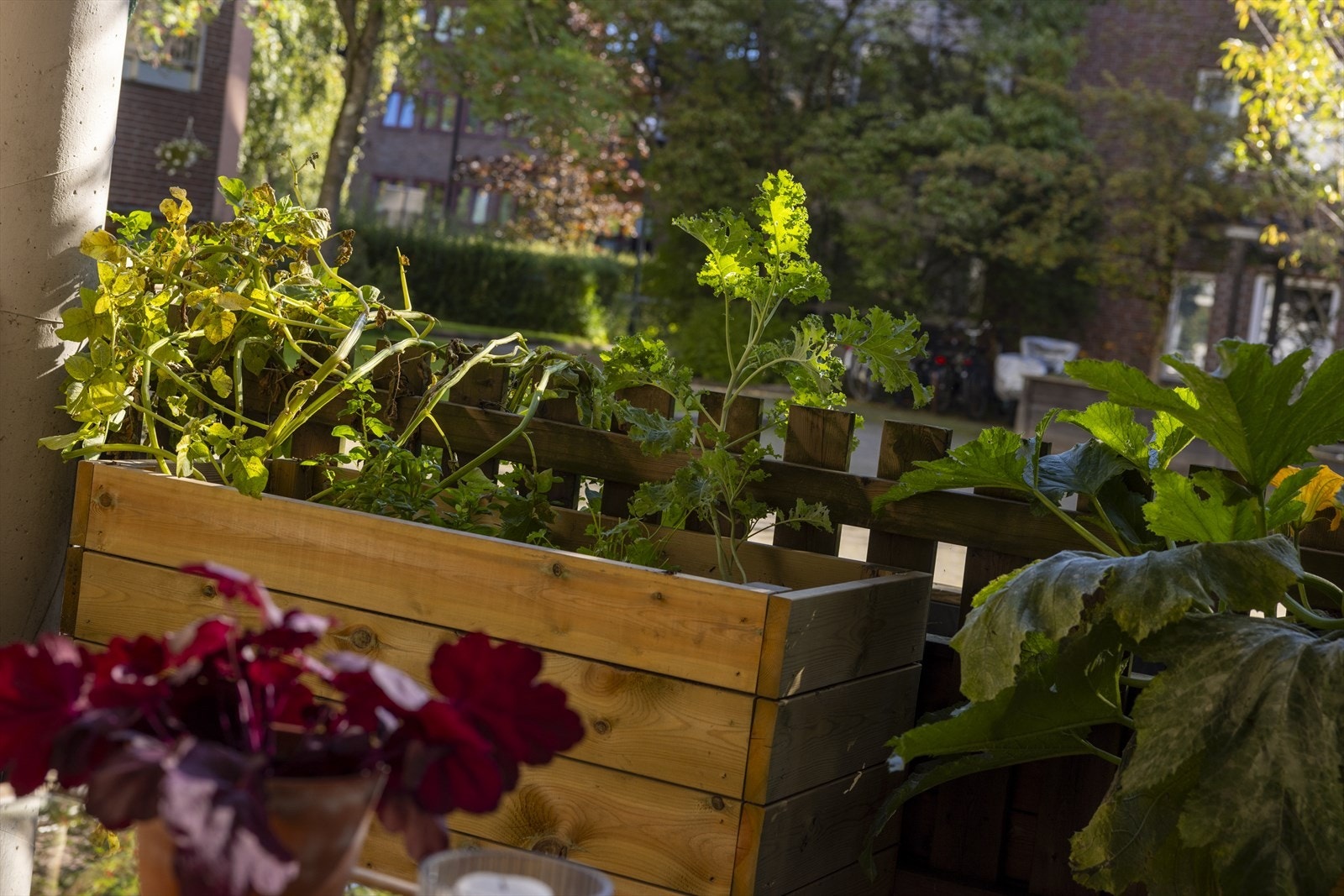 Stor markterrasse med mulighet for beplantning og diverse utemøbler. Galleribilde