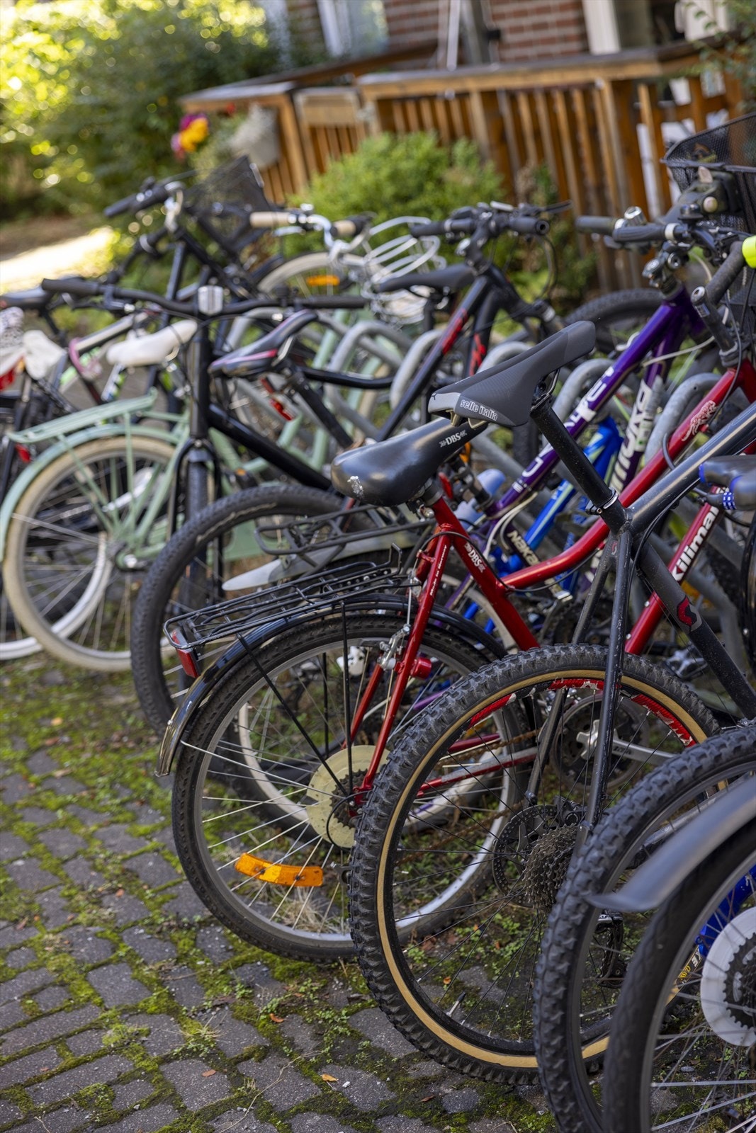 Flere sykkelstativer i nærheten av leiligheten. Galleribilde