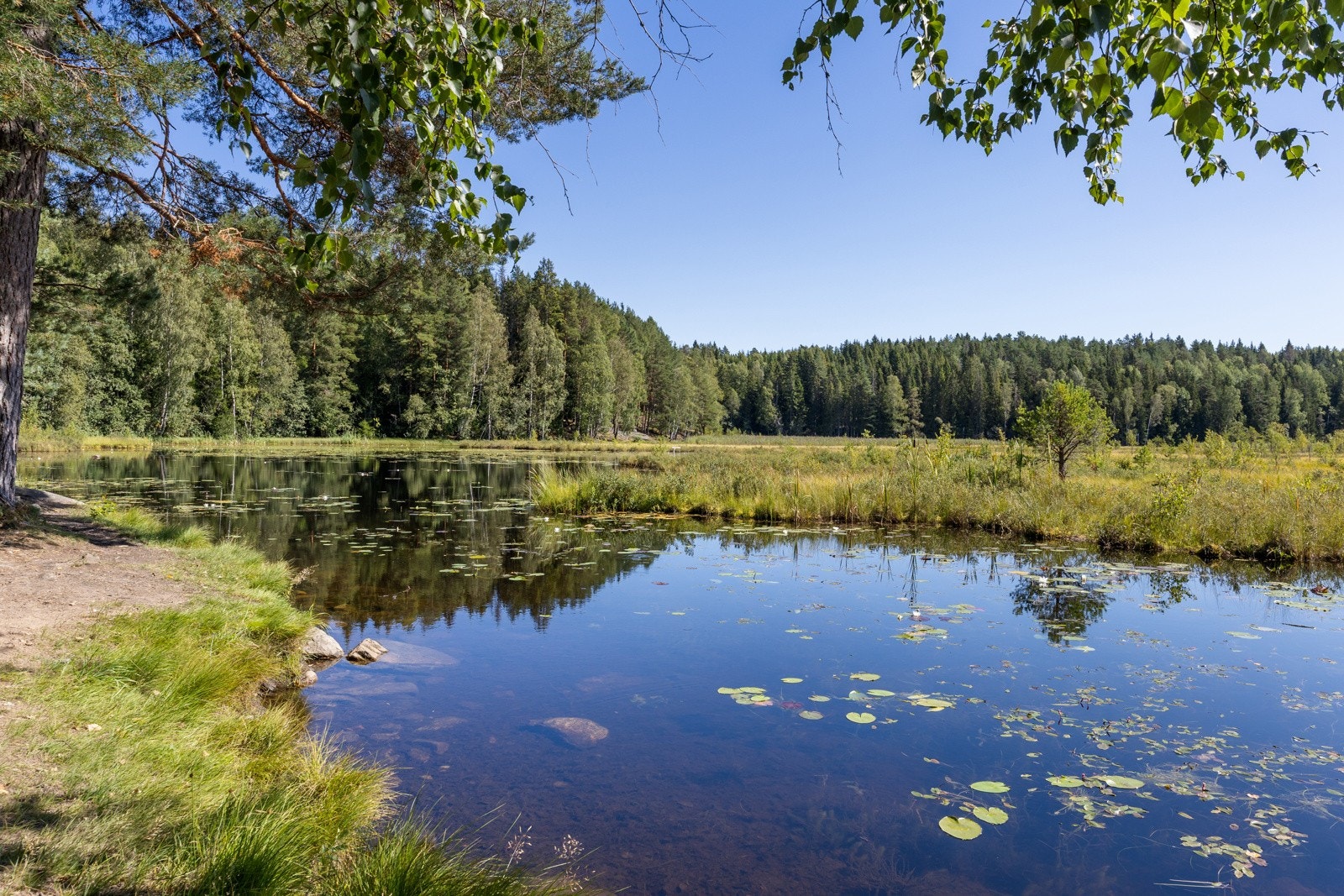 Som nærmeste nabo lligger Østmarkas vakre tur- og friluftsområder. Galleribilde