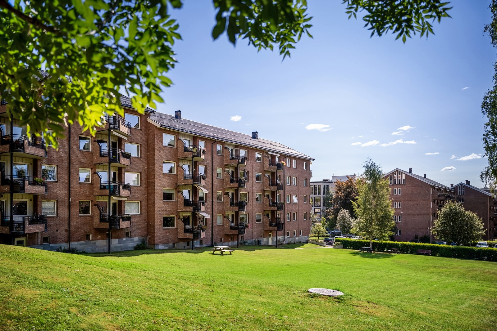 Sameiets fellesområde er pent opparbedeit med gressplener og beplanting og oppleves som luftige Galleribilde