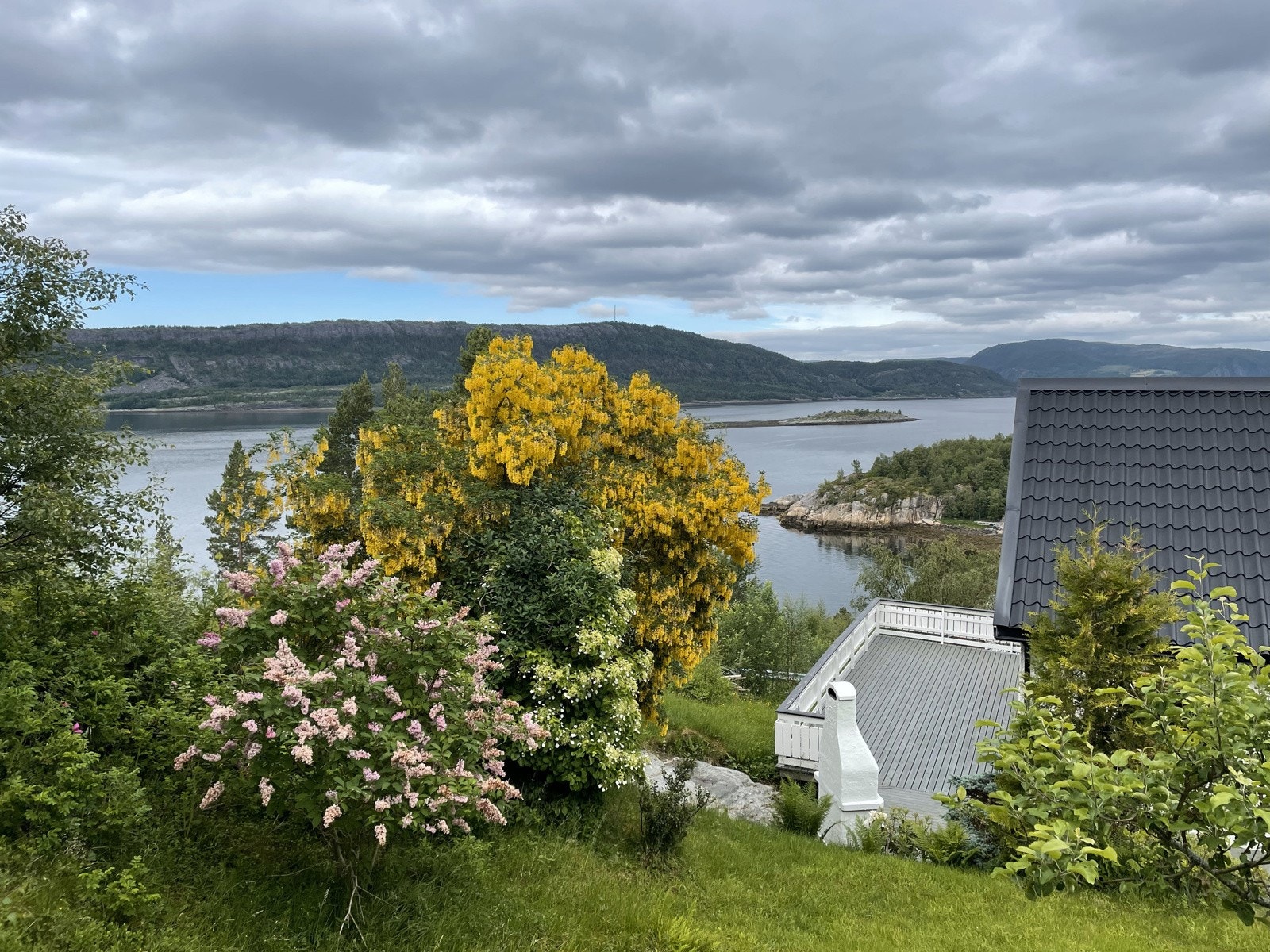 Velkommen til en hyggelig visning med oss! Galleribilde