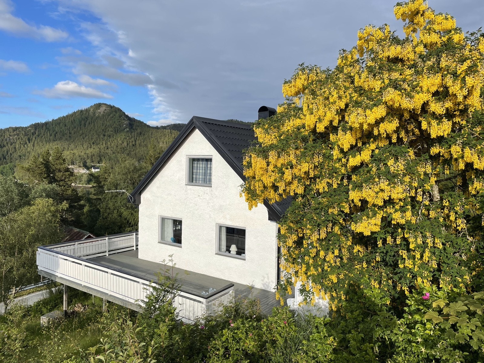 En stor og innbydende fritidsbolig i idylliske omgivelser! - selgers egne bilder Galleribilde