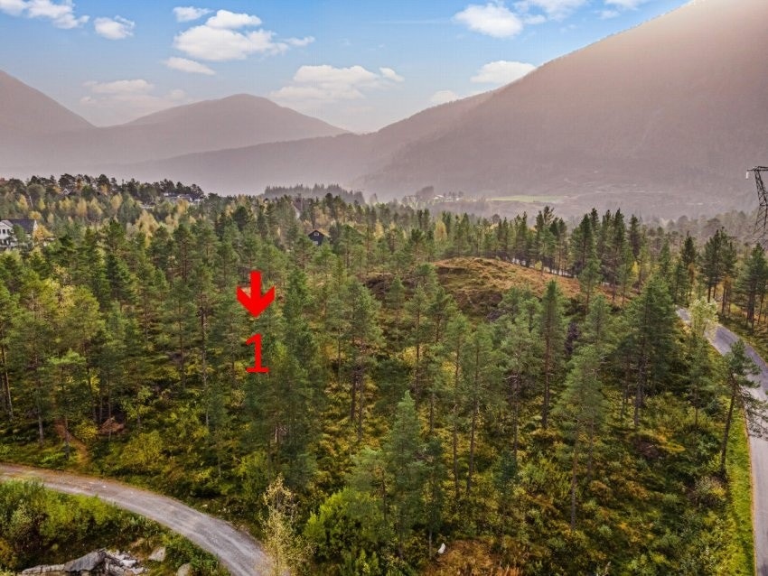 Pila syner plassering av tomt 1 Galleribilde