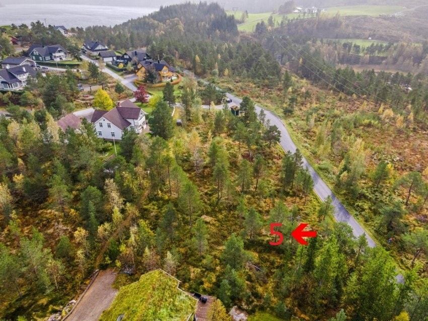 Pila syner plassering av tomt 5 Galleribilde