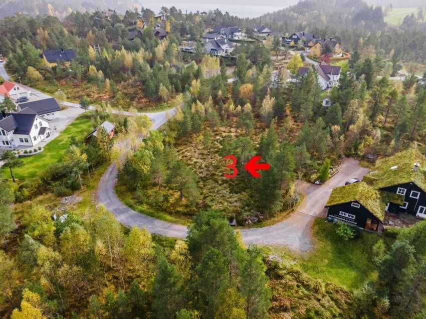 Pila syner plassering av tomt 3 Galleribilde