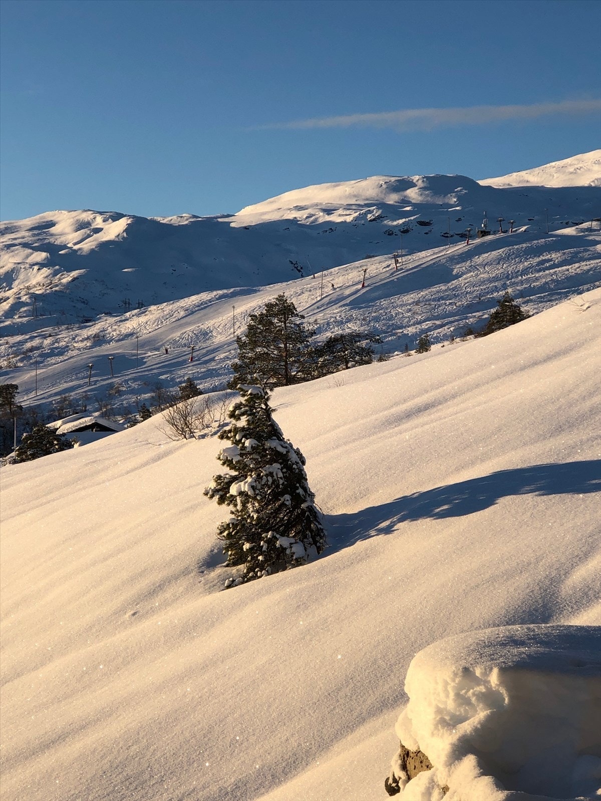 - Bilde fra selger - Galleribilde