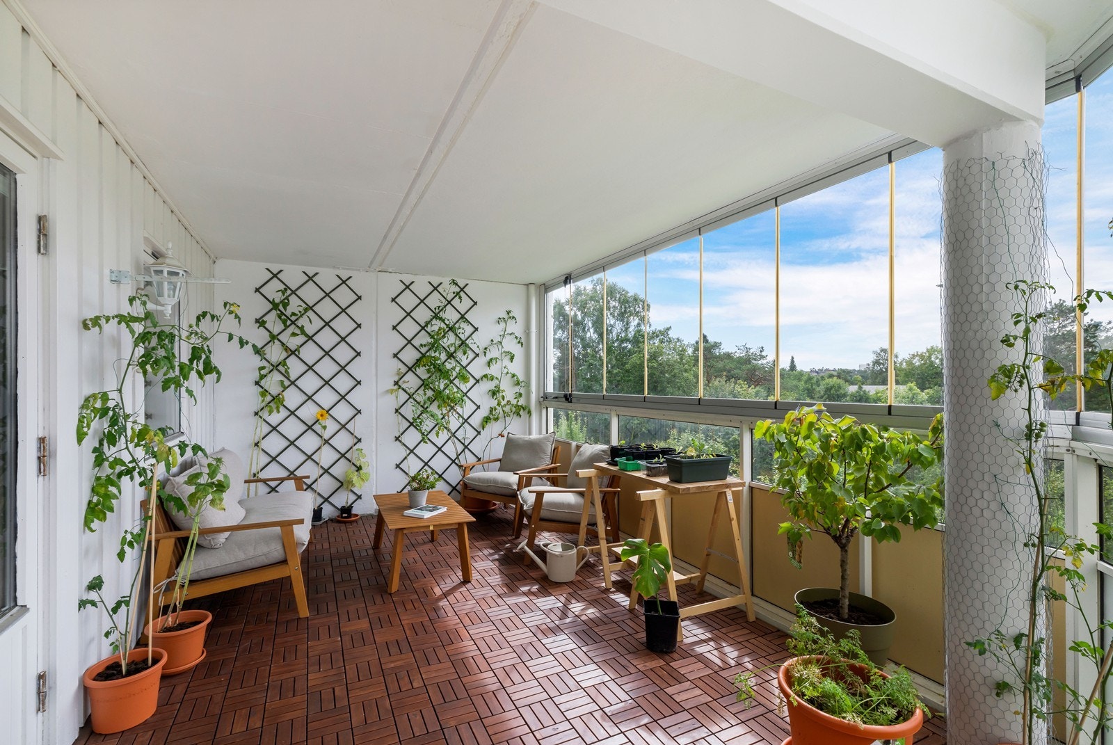 Her har du gode solforhold og rikelig med plass til dyrking av frukt og grønnsaker. Galleribilde