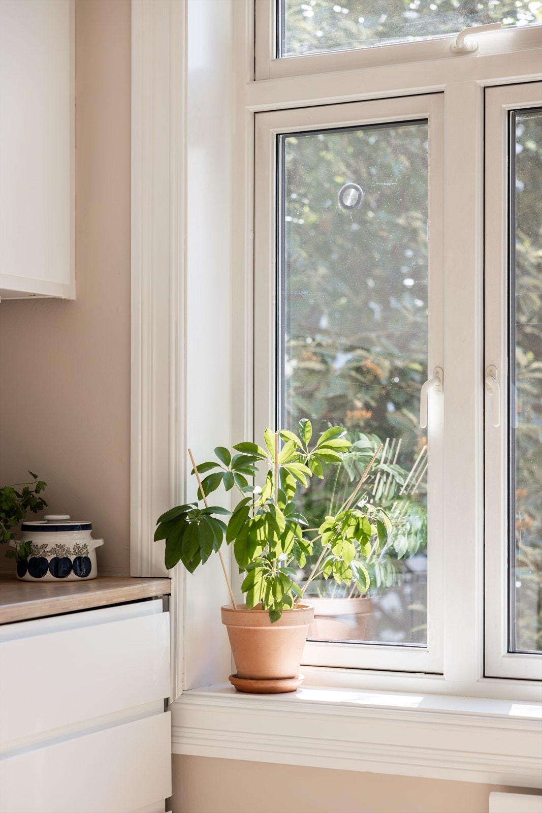 Her får man et nydelig lysinnslipp om formiddagen Galleribilde