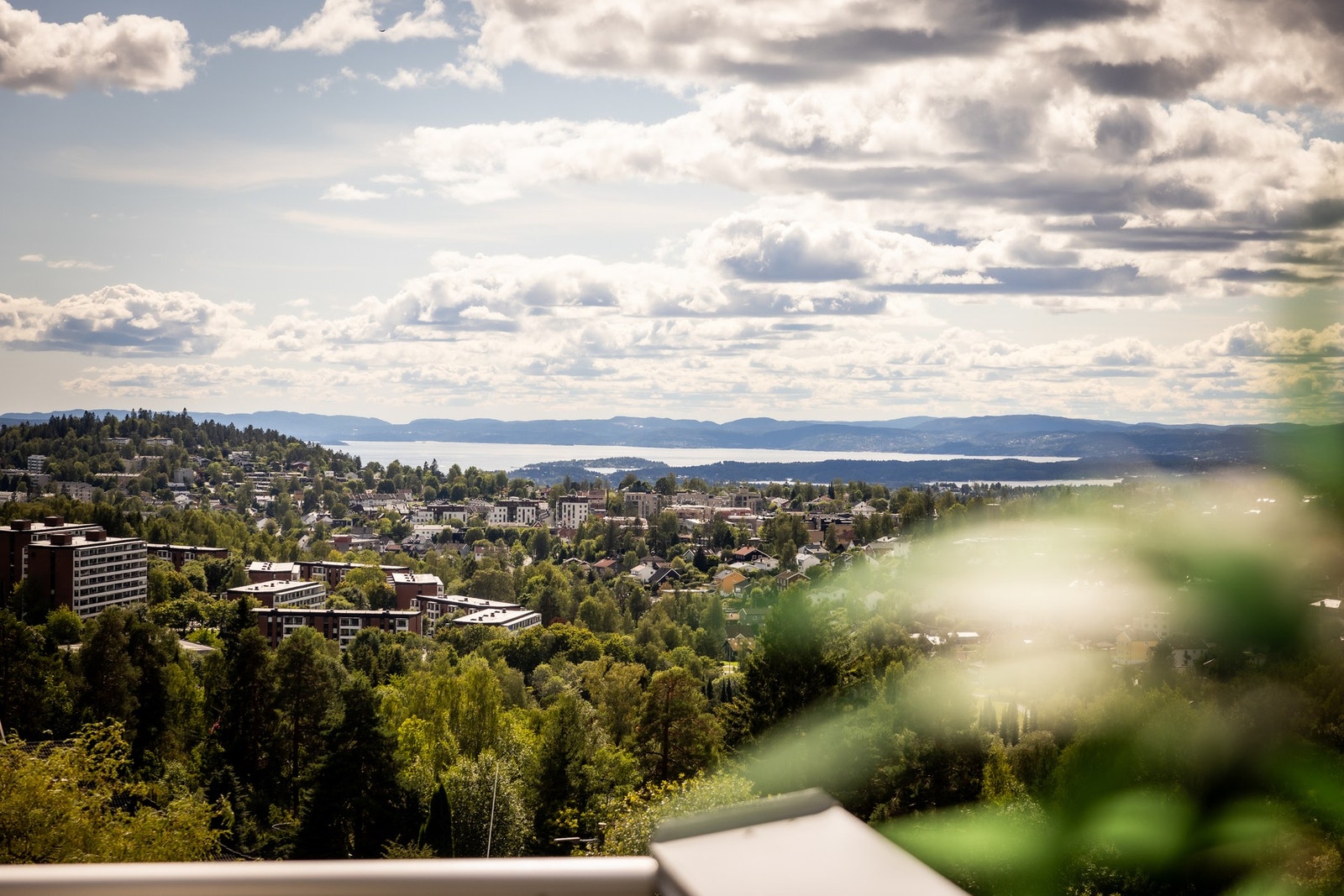 Nærområdet og fjorden som bakteppe. Galleribilde