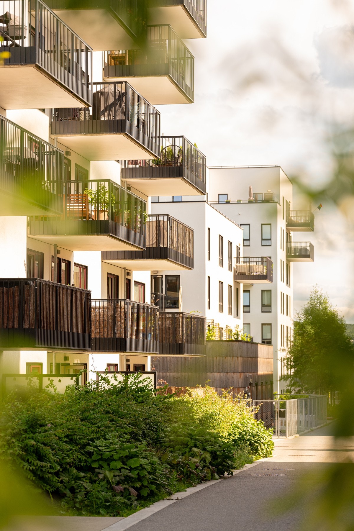 Krydderhagen er kjent for sine pene fellesområder mellom bebyggelsen og fikk pallplass i Oslo bys arkitekturpris for 2020. Galleribilde