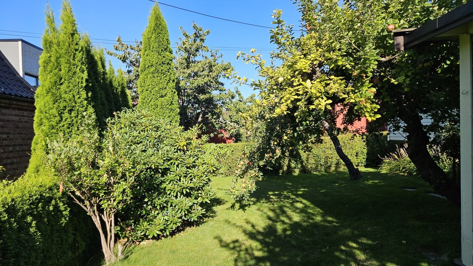 Rikelig beplantet bakhage. Galleribilde