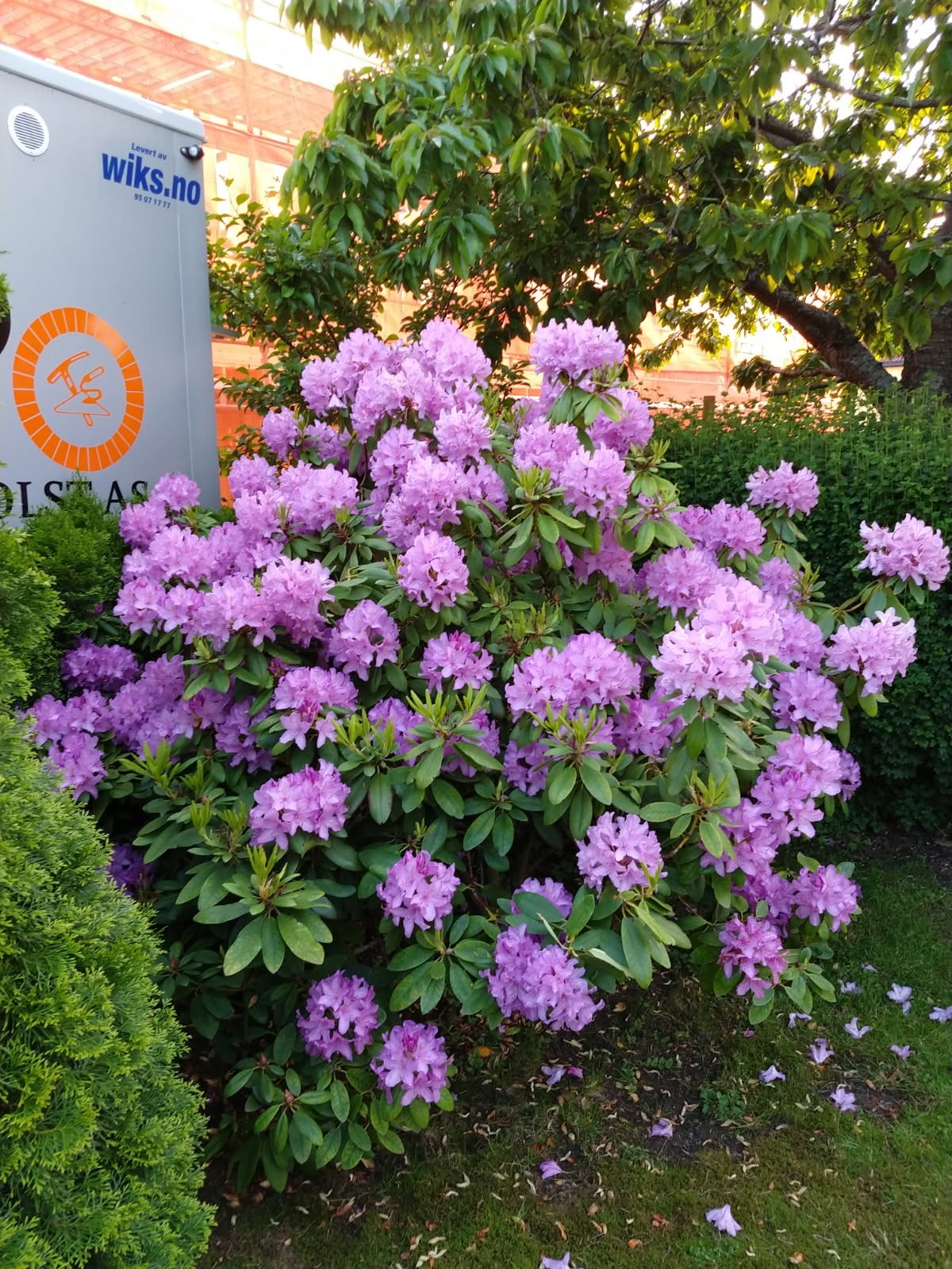 Flott beplantning Galleribilde