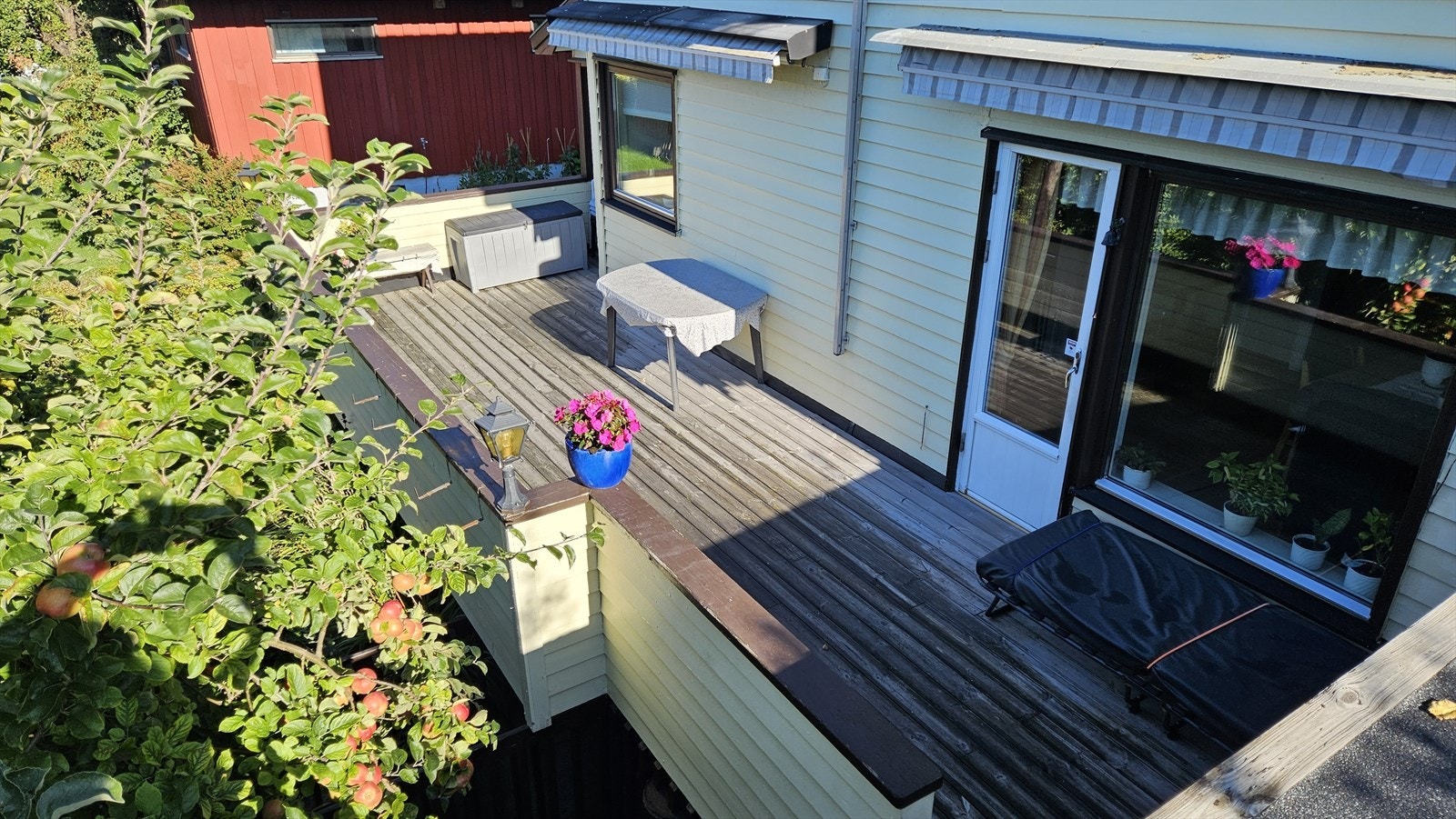 Solrik veranda. Galleribilde