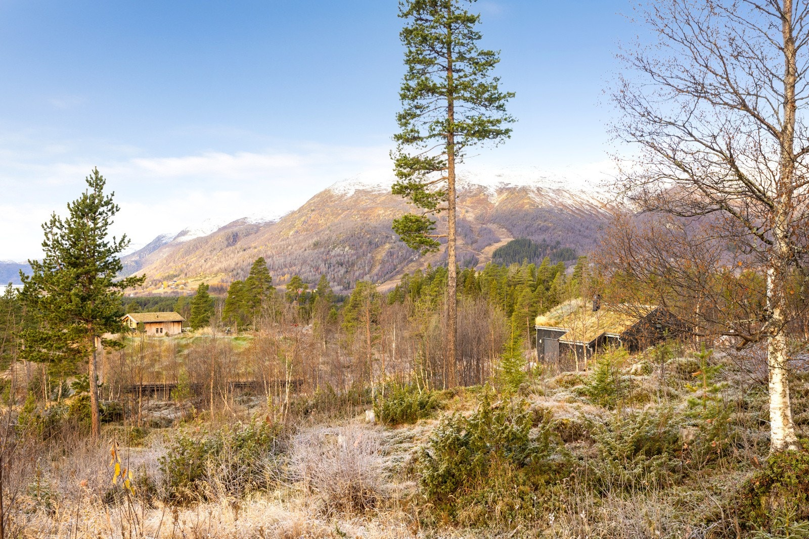 Fra eiendommen er det flott utsikt til vakre Raulandsfjell, Langfjellene og Totak Galleribilde