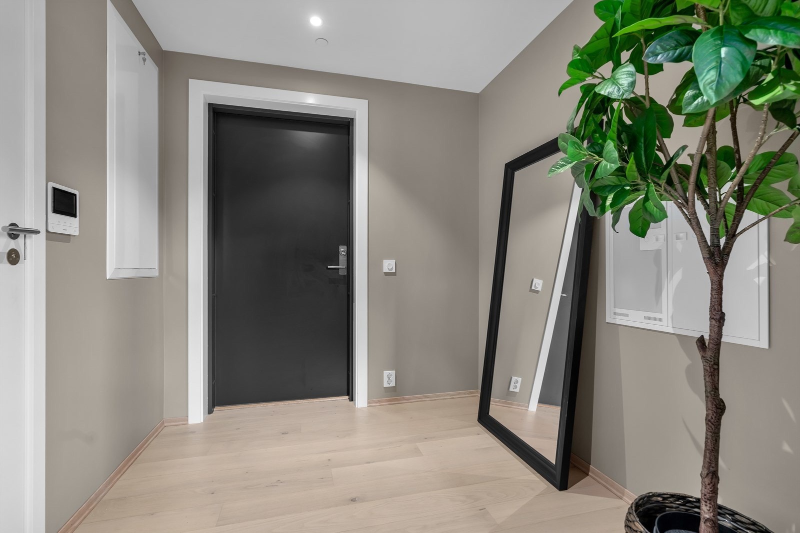 Romslig entré Galleribilde