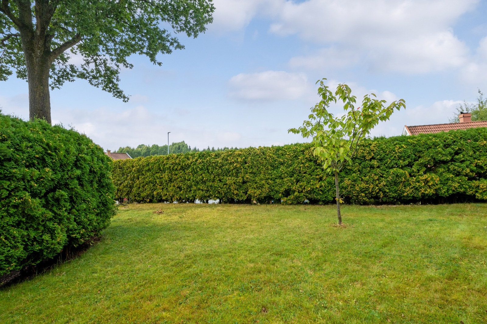 Tomten på 567,5 kvm er skrånende og pent opparbeidet med gressplen, prydbusker og en stor, steinbelagt gårdsplass. Galleribilde