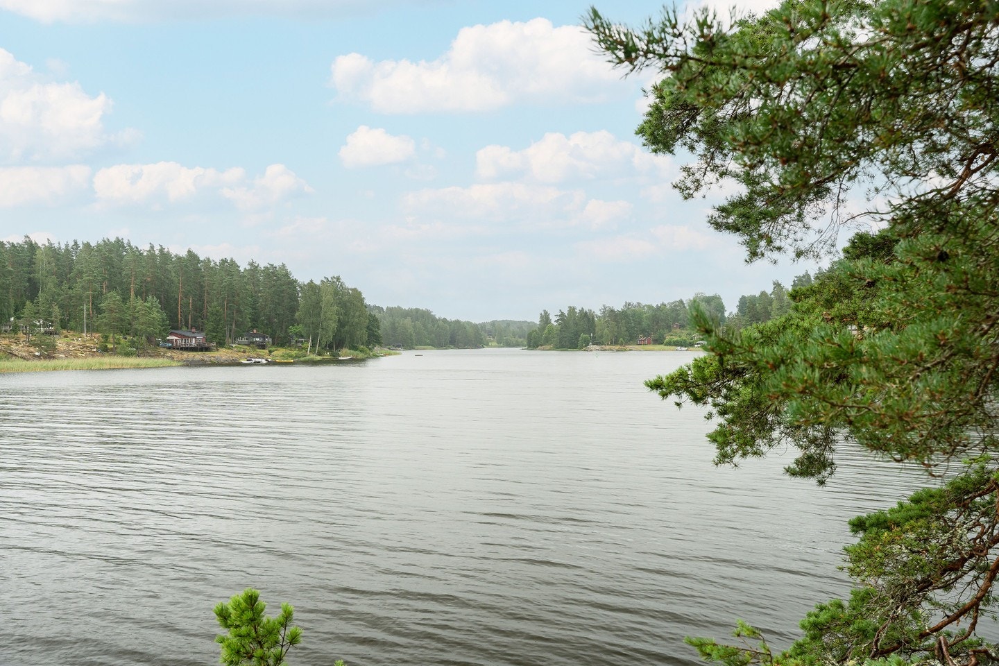 Fina Harefjorden Galleribilde