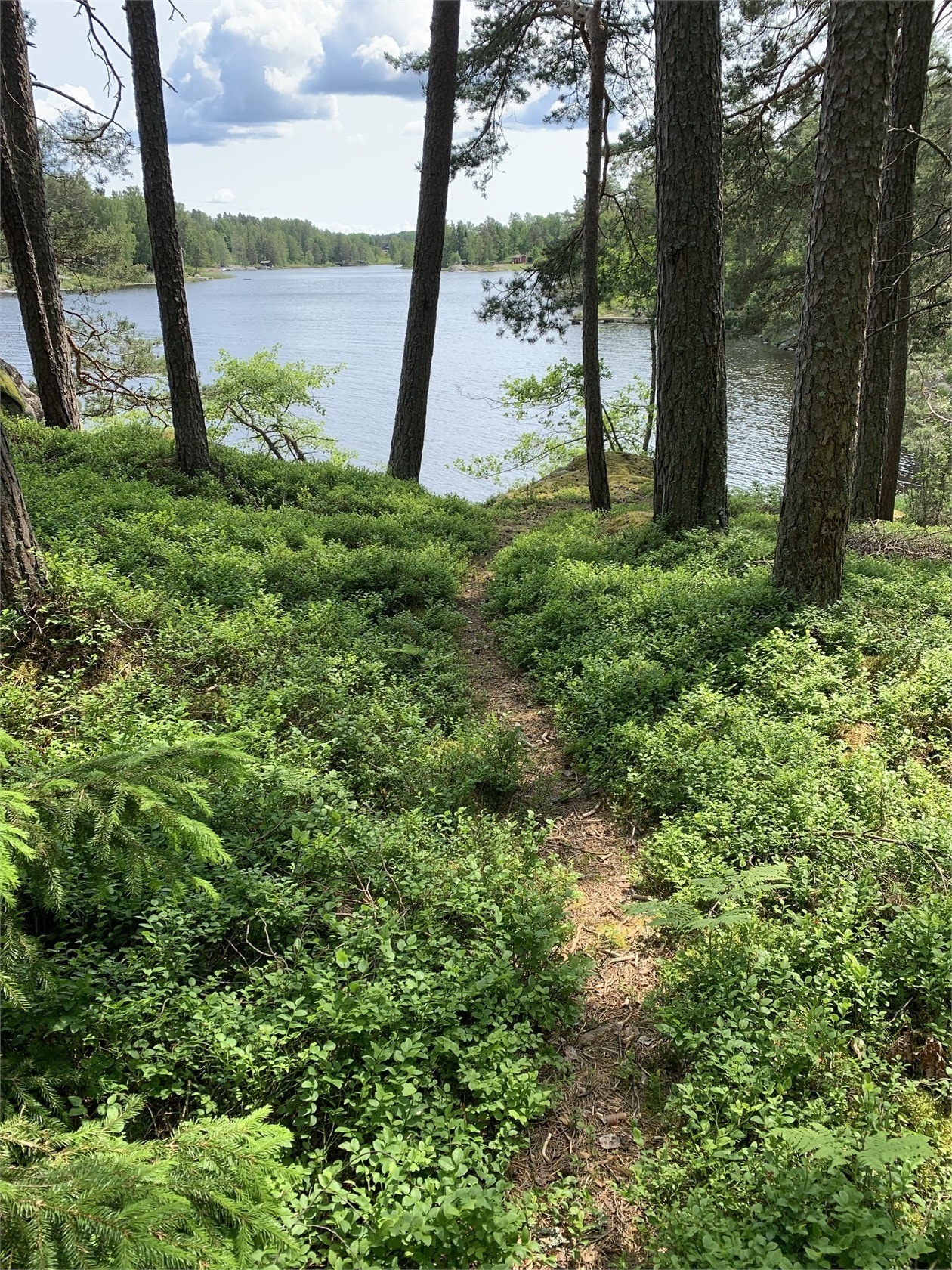 Stigen till båtplatsen Galleribilde