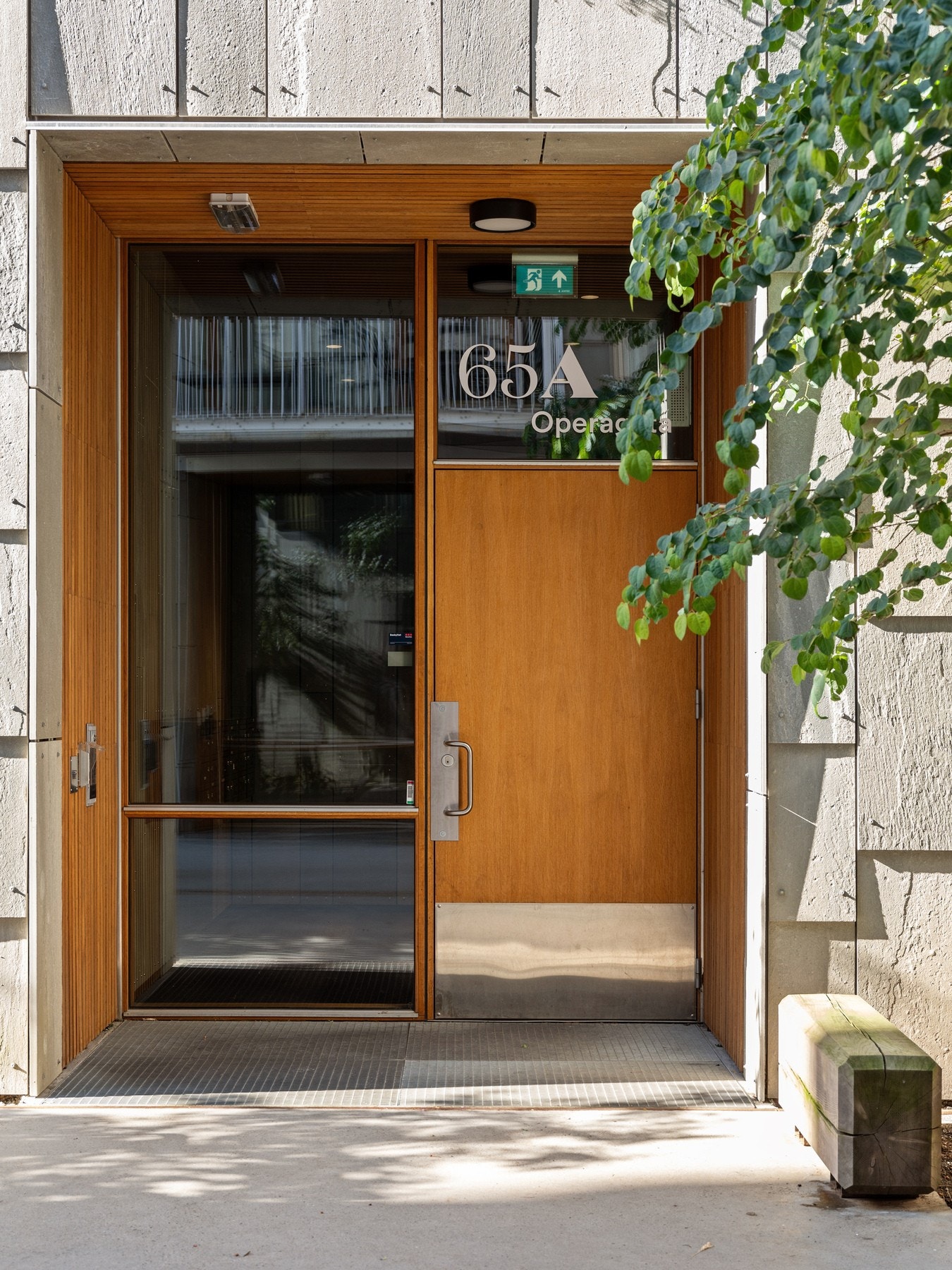 Innbydende og flott inngangsparti med massive store dører. Galleribilde