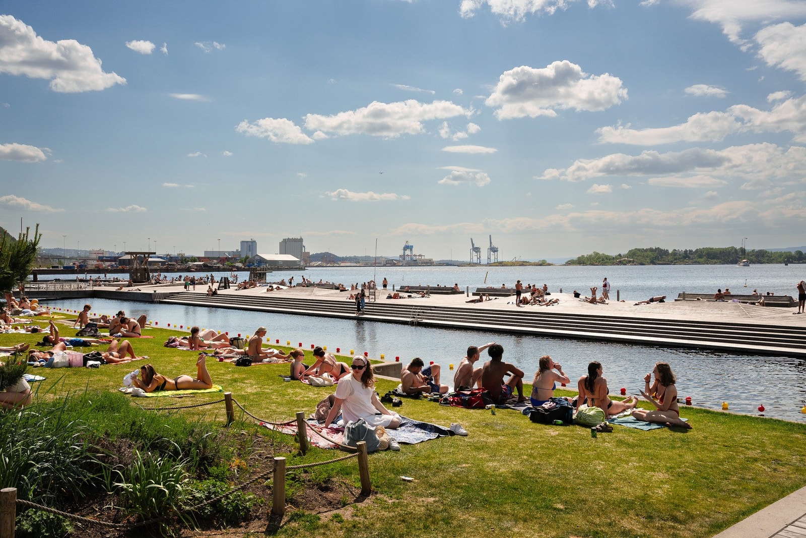 Nærområdet. Galleribilde