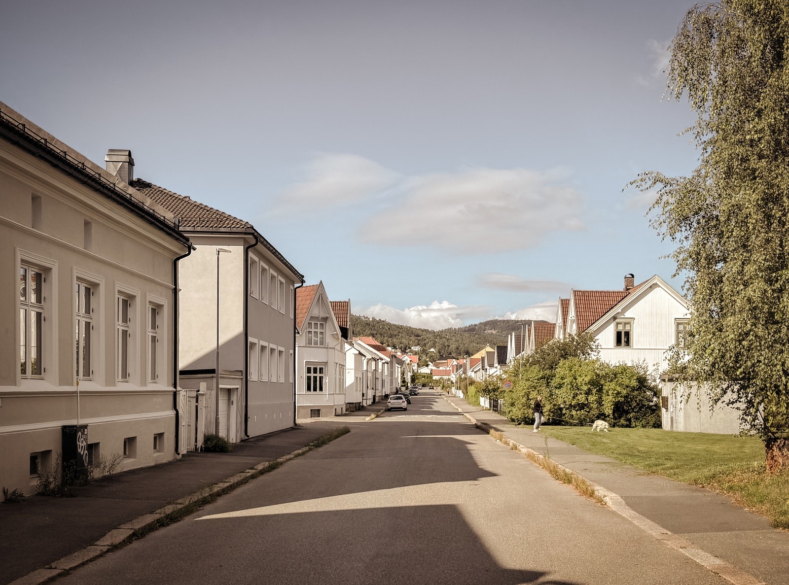 Amtmand Breders gate har minimalt med gjennomgangstrafikk og med grøntareal midt imot er det heller ingen bygg med direkte innsyn. Galleribilde