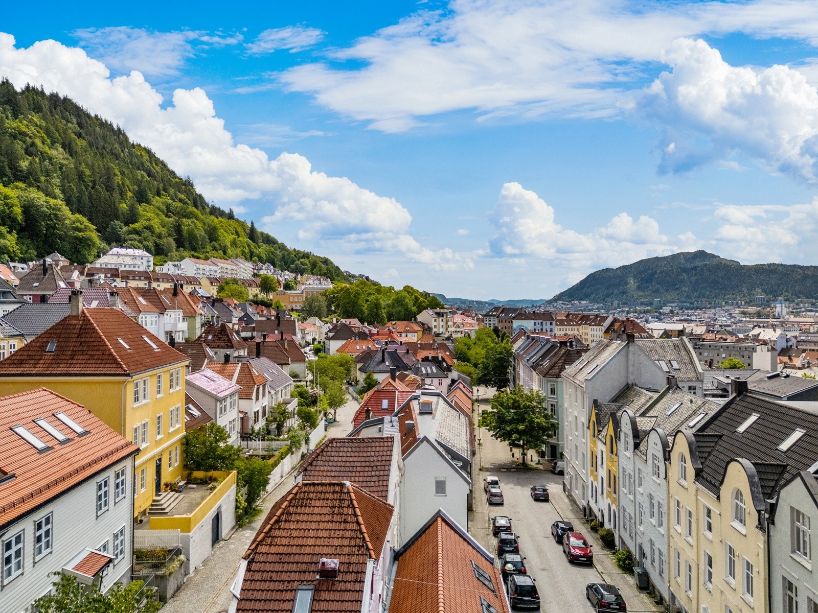Velkommen til en hyggelig visning! Galleribilde