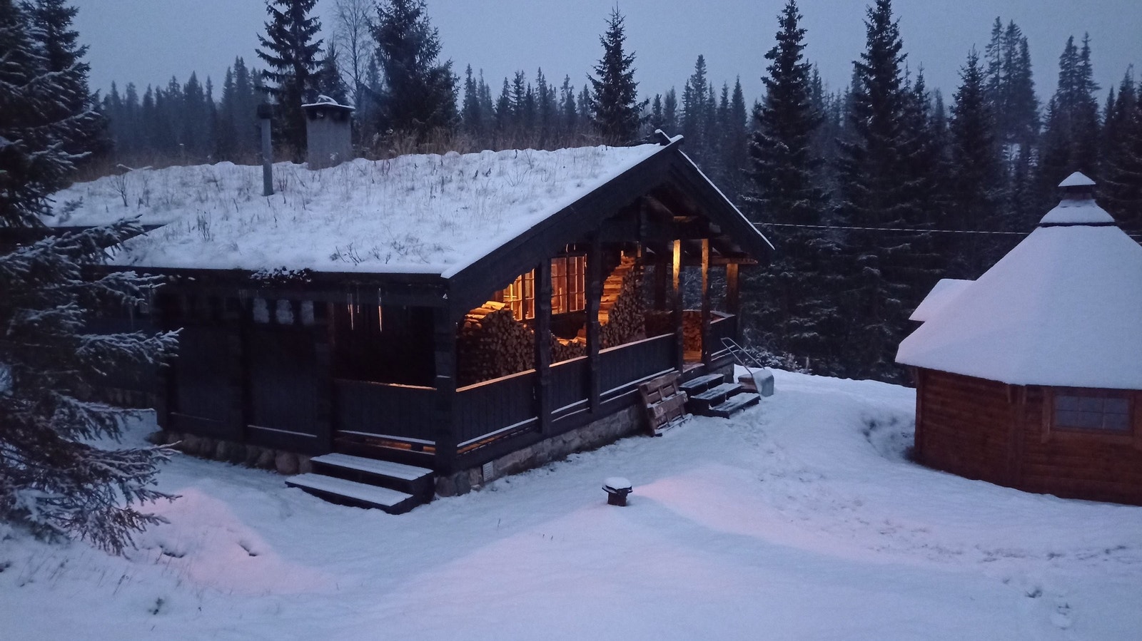 Tidlig vinter. Galleribilde